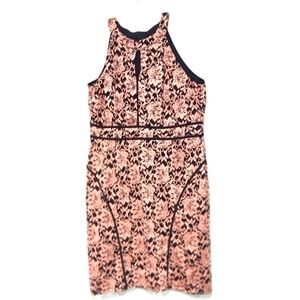 Women's lace dress sleeveless rose gold color Size: 2 X